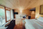 Bright room with wooden walls, window view, and modern furniture.