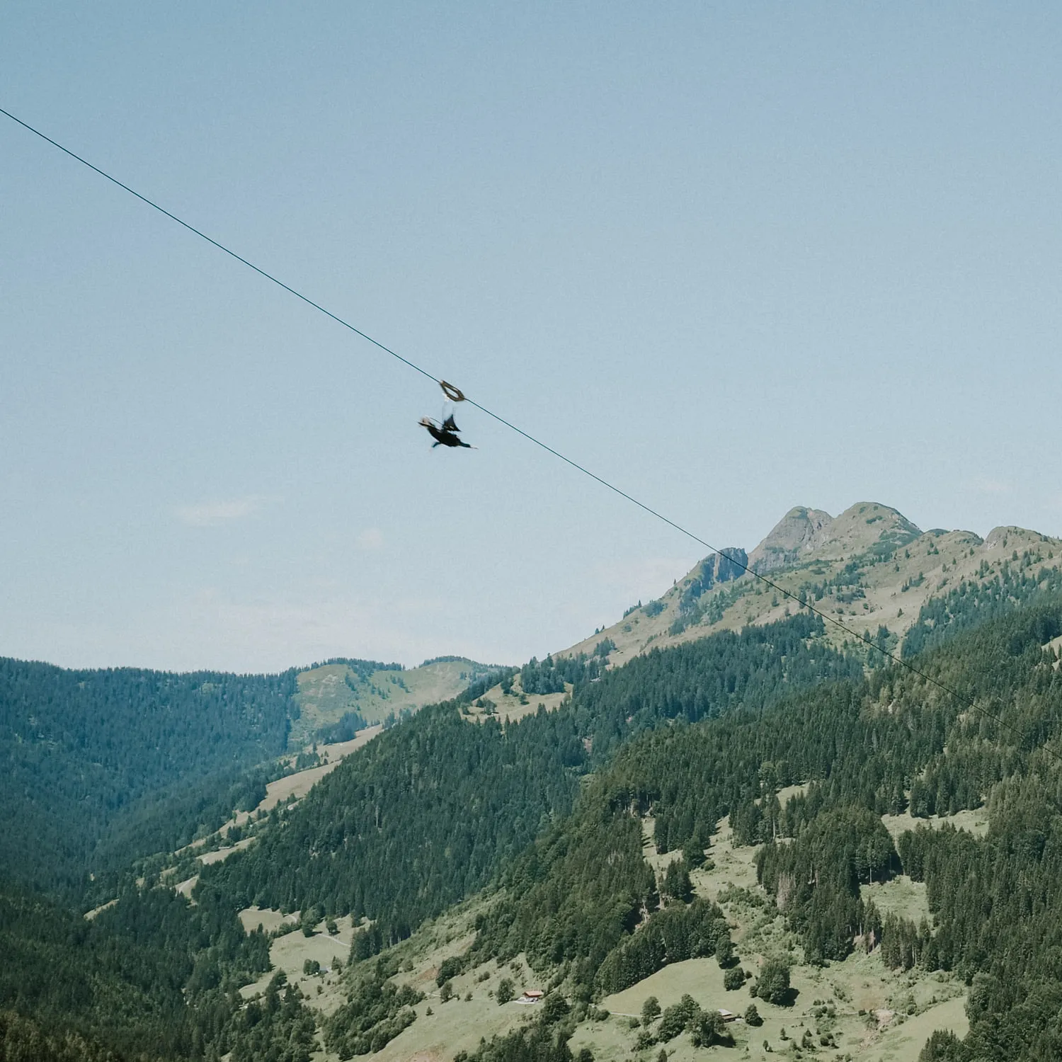 Frau nutzt den Flying Foxx