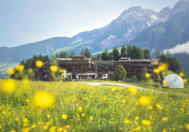 Bergblick mit einem Gebäude und Blumen im Vordergrund