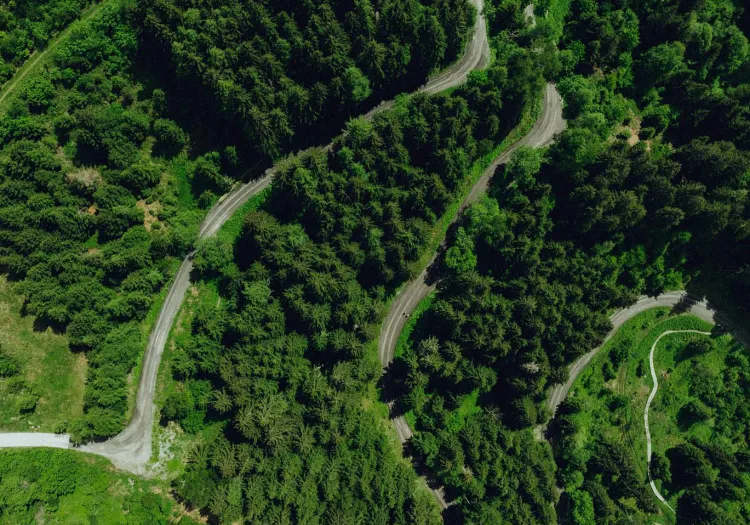 Luftaufnahme von kurvigen Straßen durch Waldgebiet